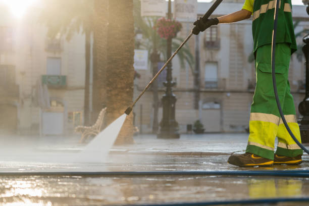 Best Gutter Cleaning  in St Augusta, MN